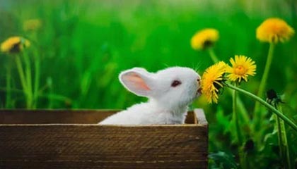 开云体育-英国网球队绝杀法国网球队，瓦林卡惊艳世界的精彩瞬间