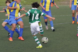 开云下载-阿森纳轻取巴黎，哈里·凯恩绝境逆转：一场足球盛宴的背后故事