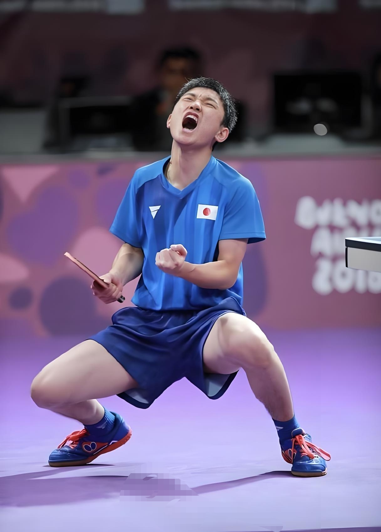 开云体育官网-包含中国乒乓球队横扫日本乒乓球队，张本智和惊艳世界的词条