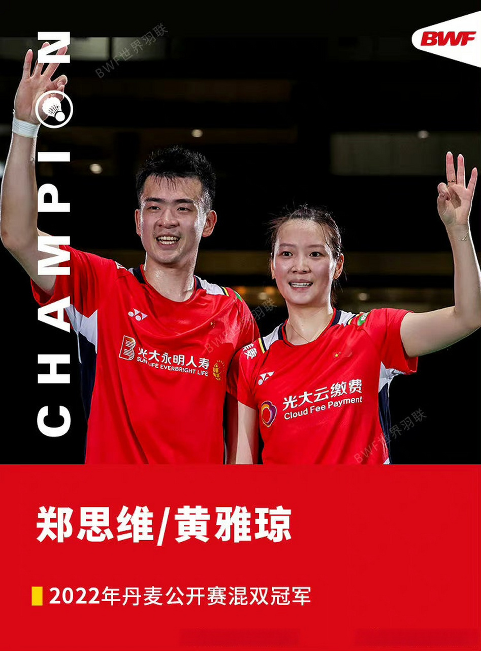 关于丹麦队完胜法国队,郑思维关键制胜的信息 关于丹麦队完胜法国队,郑思维关键制胜的信息