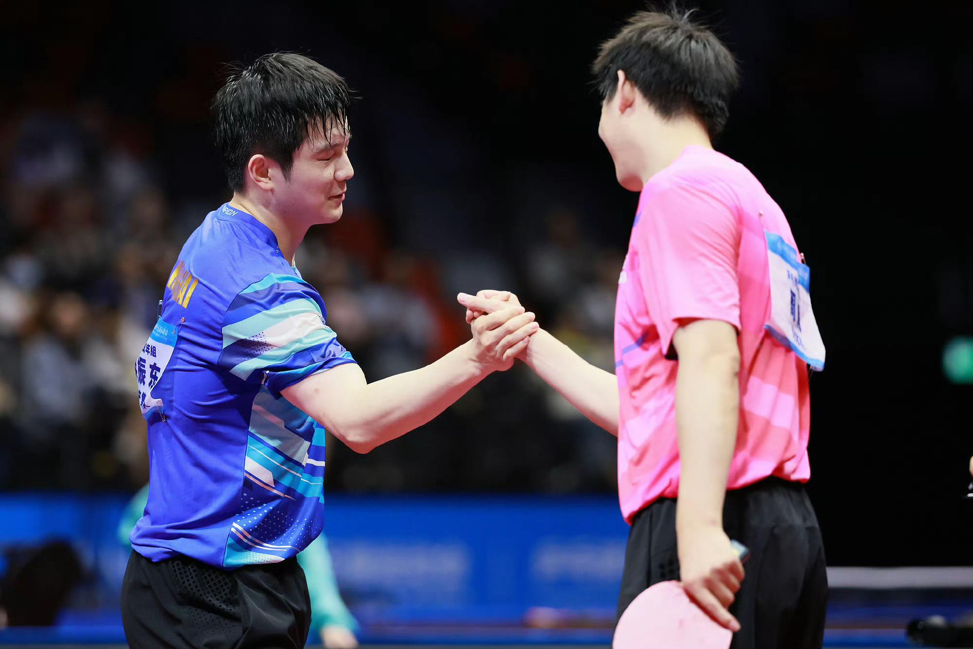 德国队完胜韩国队，樊振东扛起全队