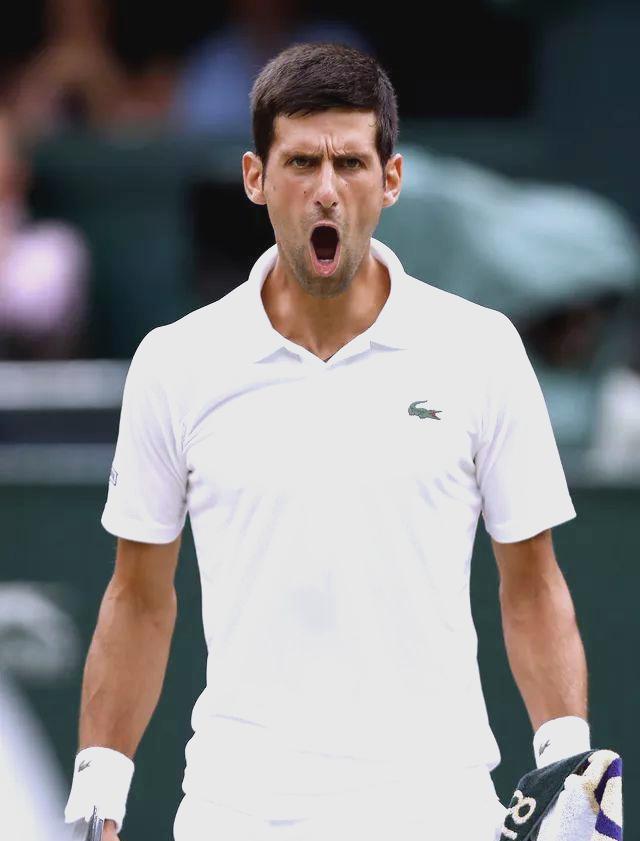 开云平台-蒙特卡洛大师赛鏖战温网，德约科维奇惊艳四座