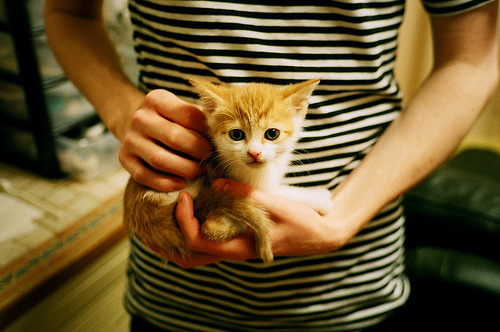 开云体育-当哲科化身节拍器，国际米兰用一场错位美学给波兰上了一堂控制论大师课